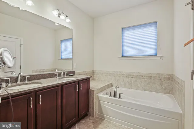 a bathroom with a tub double vanity sink and mirror