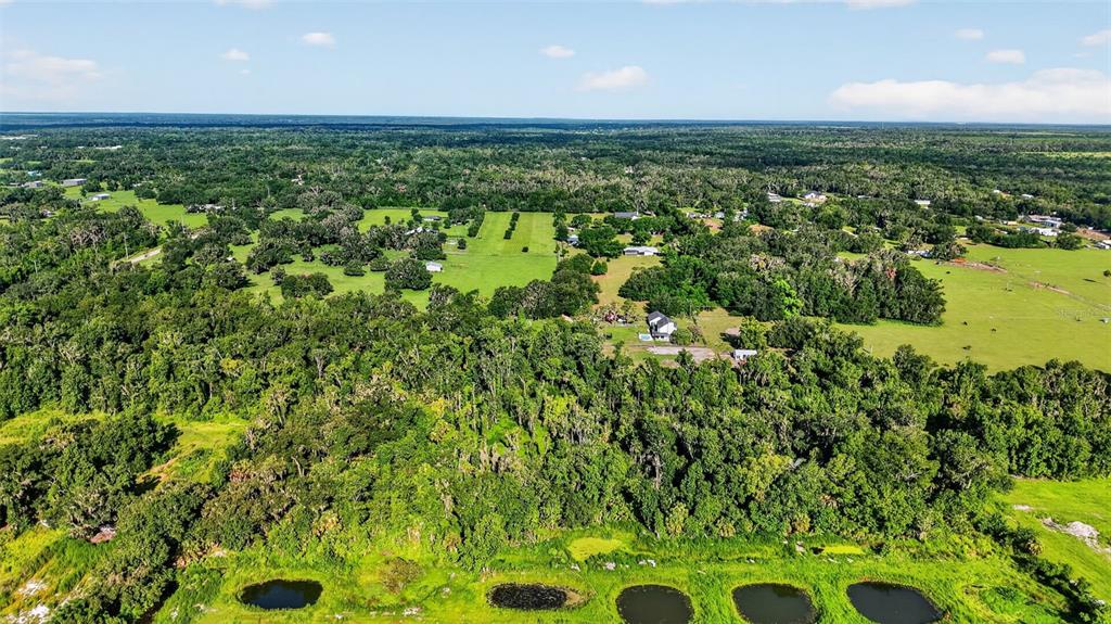 8922 Pritcher Road Lithia, FL 33547 - Photo 73 of 73
