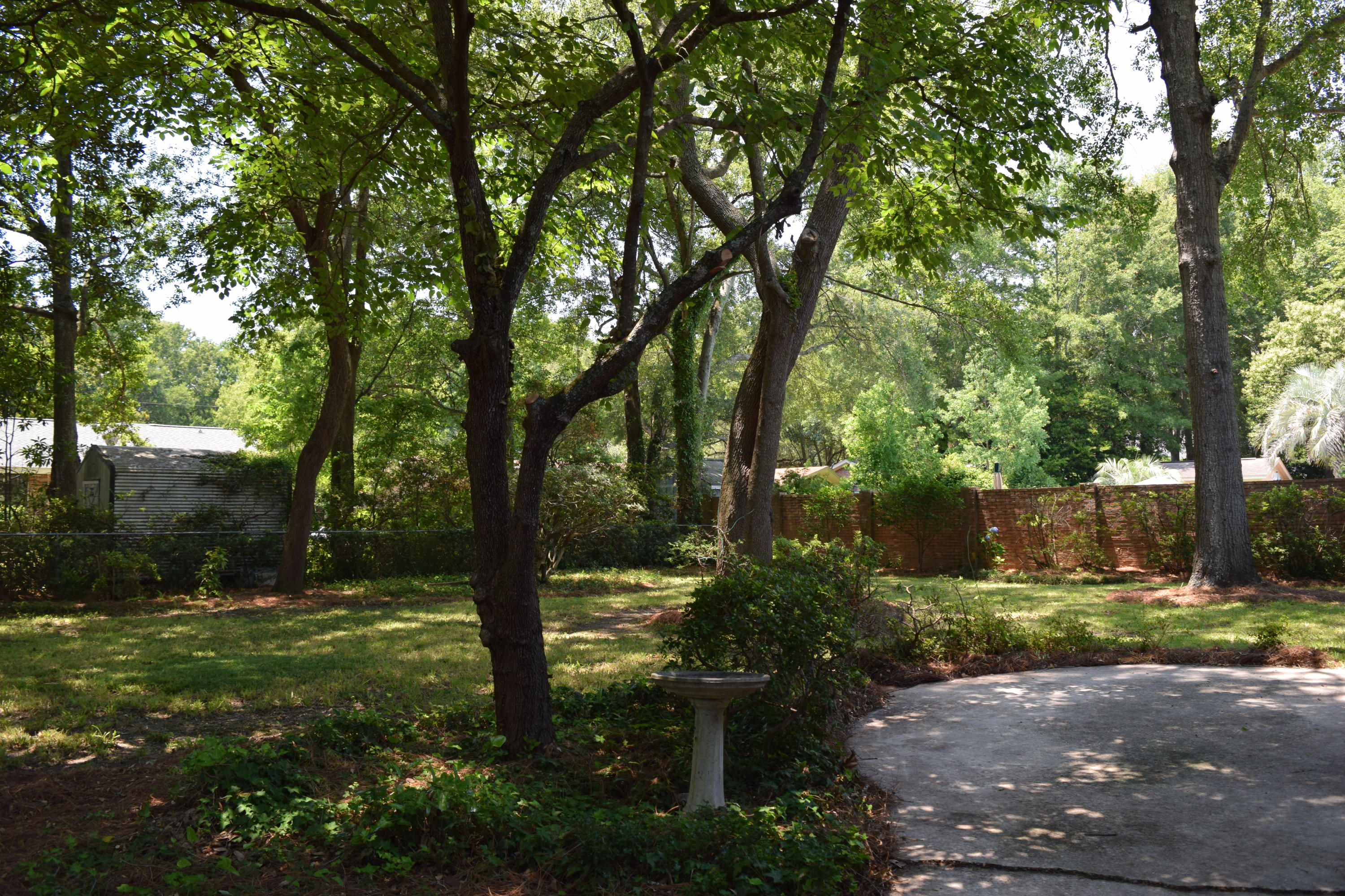 19 Shrewsbury Road Charleston, SC 29407 - Photo 39 of 39 DSC_0244
