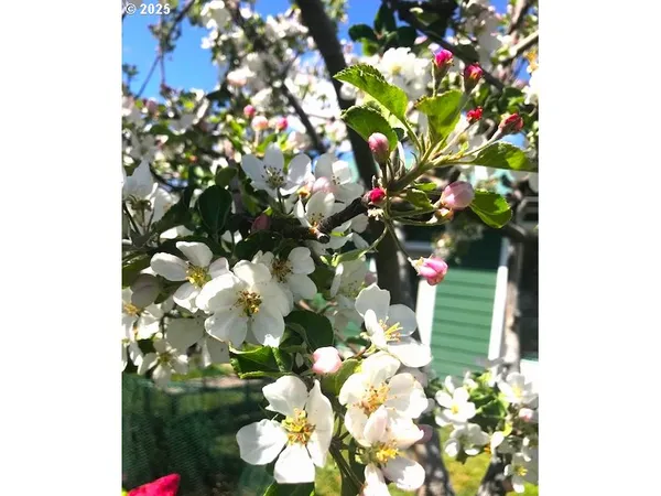 $232,500 | 212 Northwest 5th Avenue, John Day, OR 97845