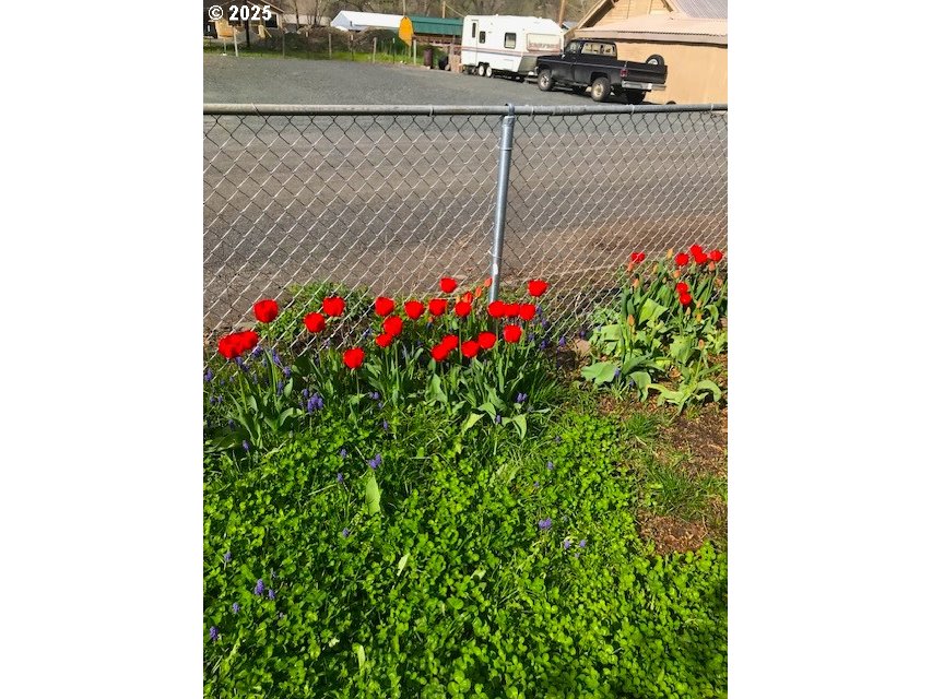212 Northwest 5th Avenue John Day, OR 97845 - Photo 28 of 38 a small yard and potted plants
