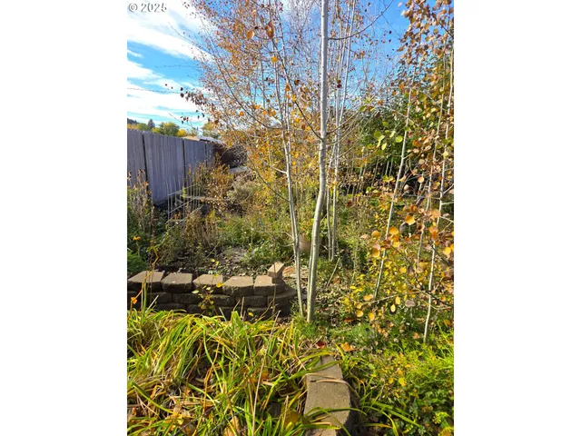 a view of a pathway of a building