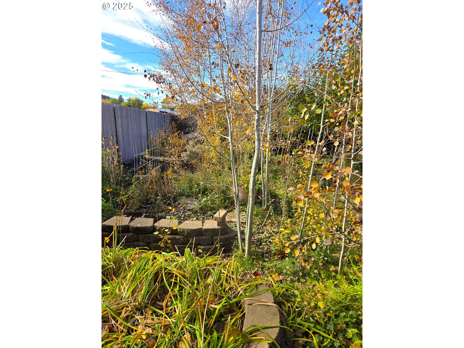 212 Northwest 5th Avenue John Day, OR 97845 - Photo 3 of 38 a view of a pathway of a building