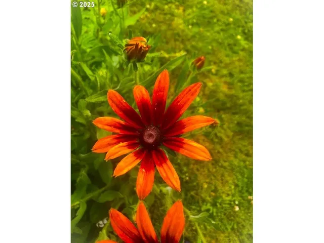 $232,500 | 212 Northwest 5th Avenue, John Day, OR 97845