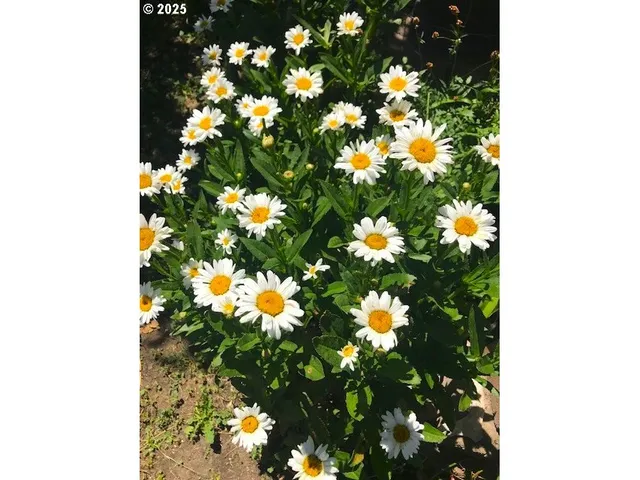 $232,500 | 212 Northwest 5th Avenue, John Day, OR 97845