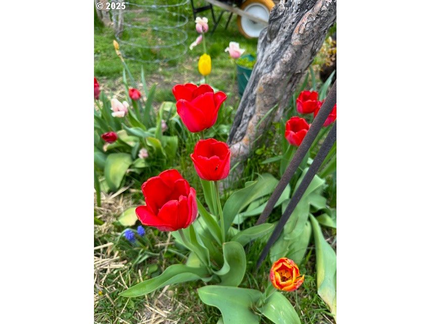 212 Northwest 5th Avenue John Day, OR 97845 - Photo 37 of 38