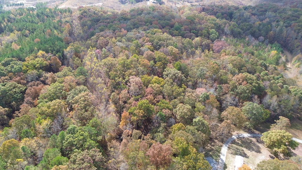 0 Keith Salem Road Ringgold, GA 30736 - Photo 6 of 11 Gallery Image 6