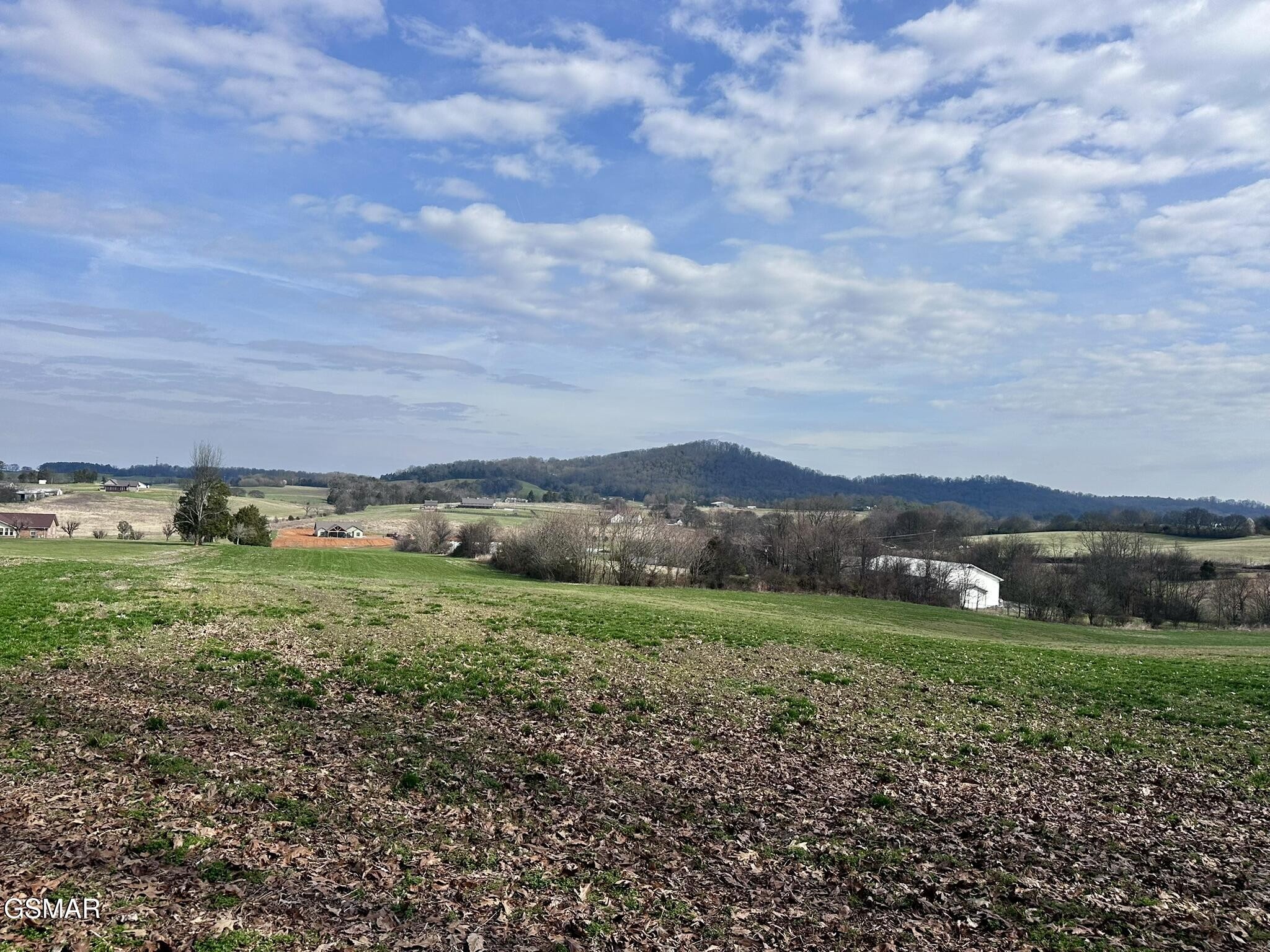 0 Mine Road New Market, TN 37820 - Photo 6 of 28 Gallery Image 6