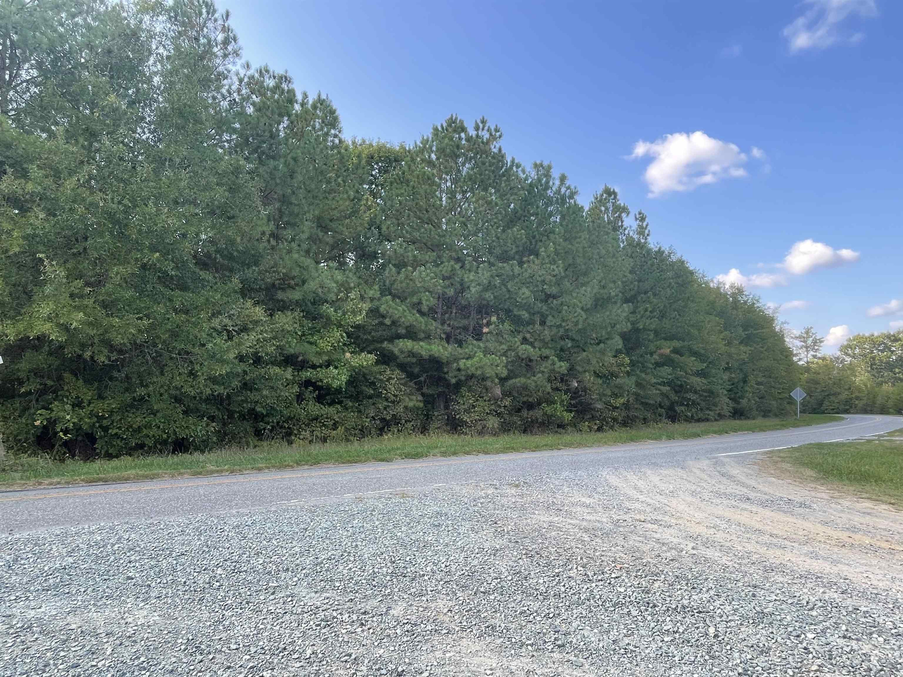 2389 Bowers Store Road Siler City, NC 27344 - Photo 5 of 5 Photo 5