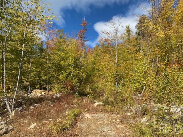 0 Bryant Heights Road Tamworth, NH 03886 - Photo 12 of 24