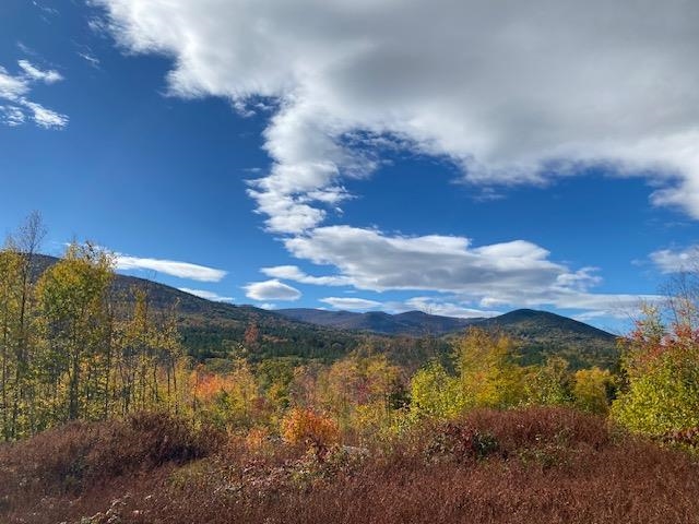 0 Bryant Heights Road Tamworth, NH 03886 - Photo 13 of 24