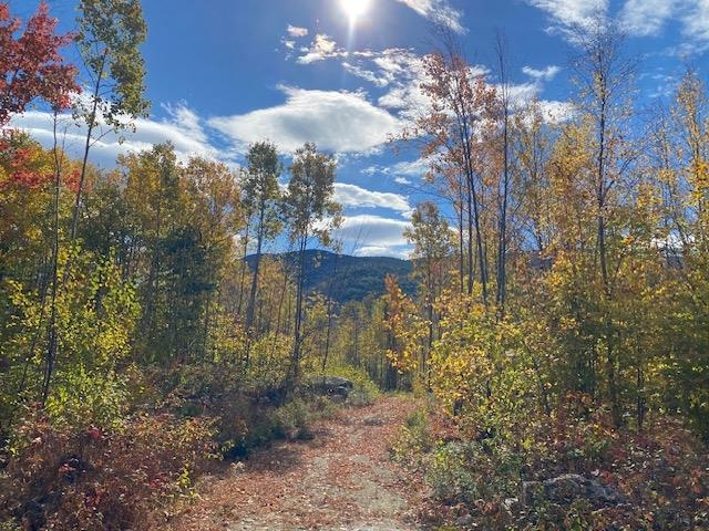 0 Bryant Heights Road Tamworth, NH 03886 - Photo 15 of 24