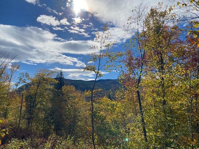 0 Bryant Heights Road Tamworth, NH 03886 - Photo 19 of 24