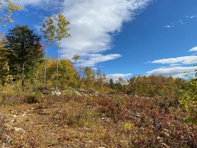0 Bryant Heights Road Tamworth, NH 03886 - Photo 20 of 24