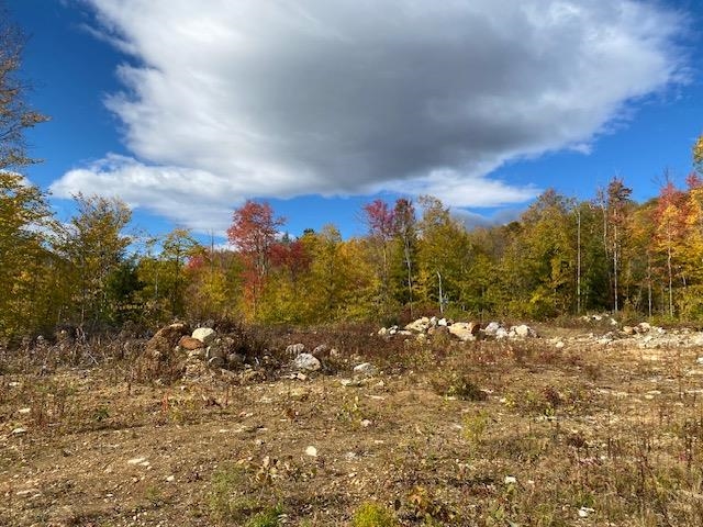 0 Bryant Heights Road Tamworth, NH 03886 - Photo 2 of 24