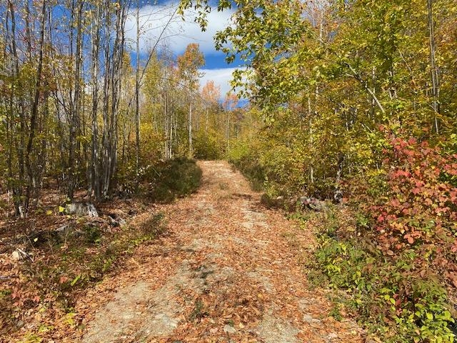 0 Bryant Heights Road Tamworth, NH 03886 - Photo 7 of 24