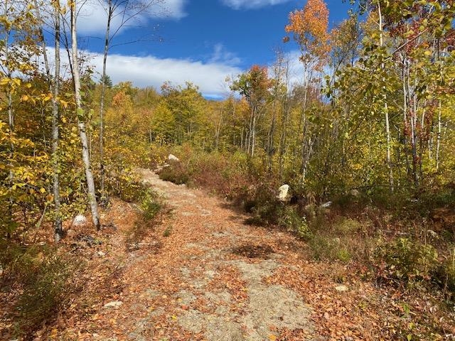 0 Bryant Heights Road Tamworth, NH 03886 - Photo 8 of 24