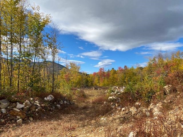 0 Bryant Heights Road Tamworth, NH 03886 - Photo 9 of 24