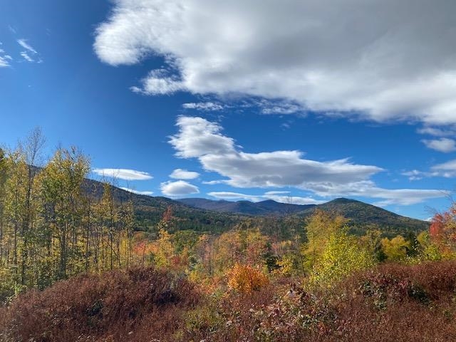 0 Bryant Heights Road Tamworth, NH 03886 - Photo 10 of 24