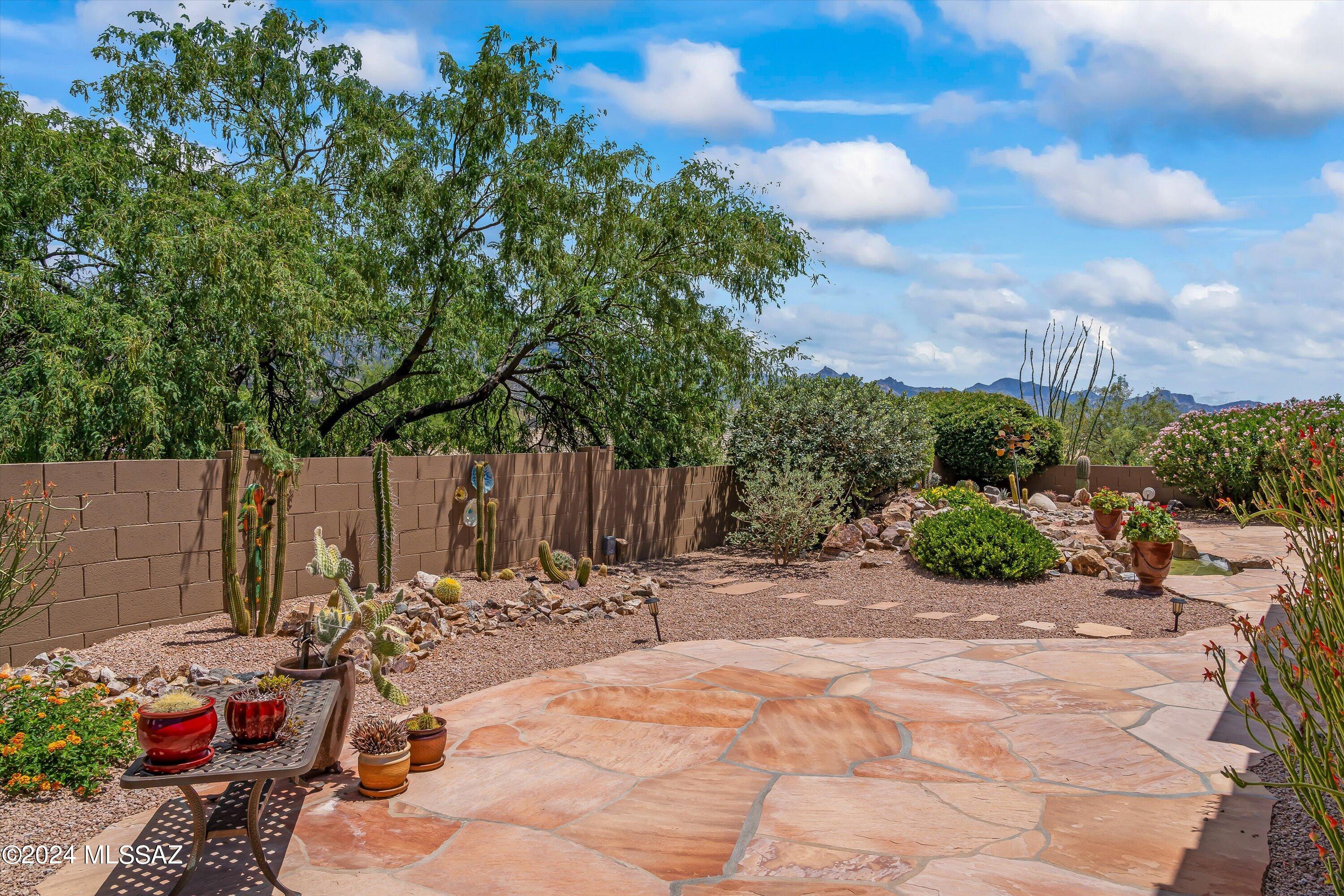 36031 Mesa Ridge Drive Tucson, AZ 85739 - Photo 41 of 45