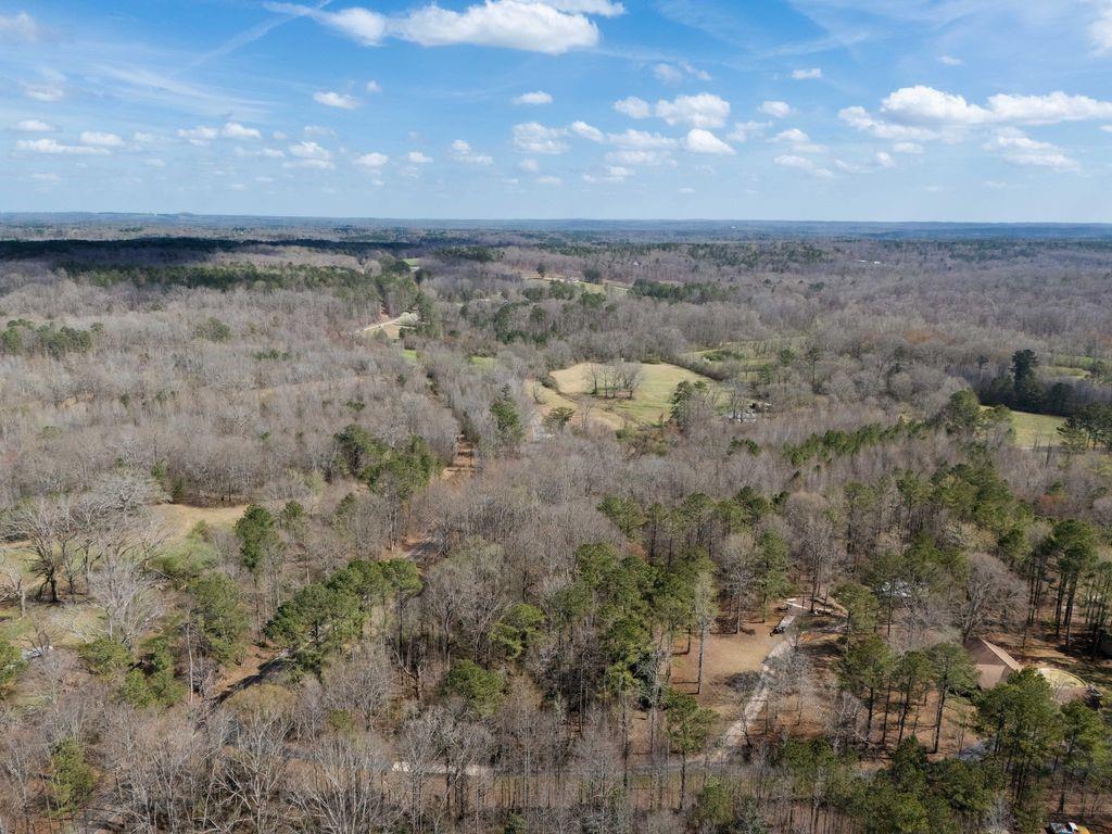 0 Bell Road Bremen, GA 30110 - Photo 12 of 14