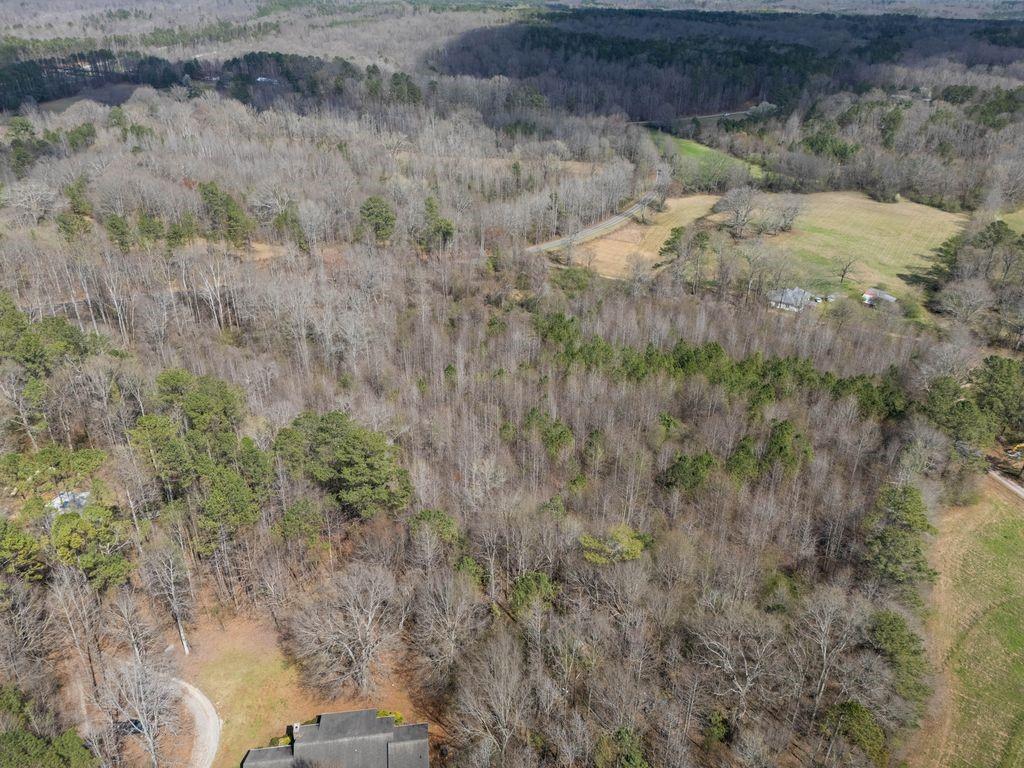 0 Bell Road Bremen, GA 30110 - Photo 13 of 14