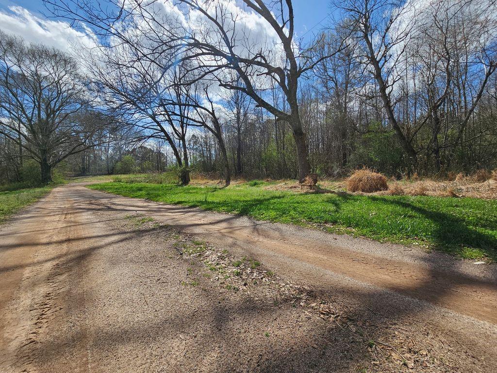 0 Bell Road Bremen, GA 30110 - Photo 3 of 14