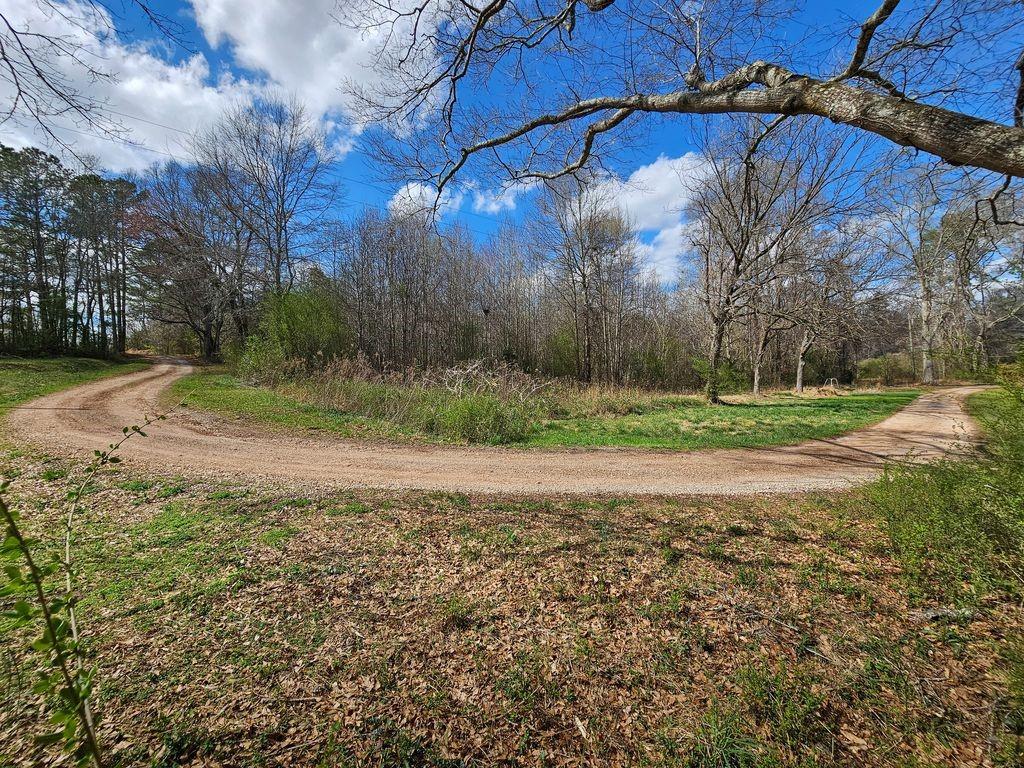 0 Bell Road Bremen, GA 30110 - Photo 4 of 14