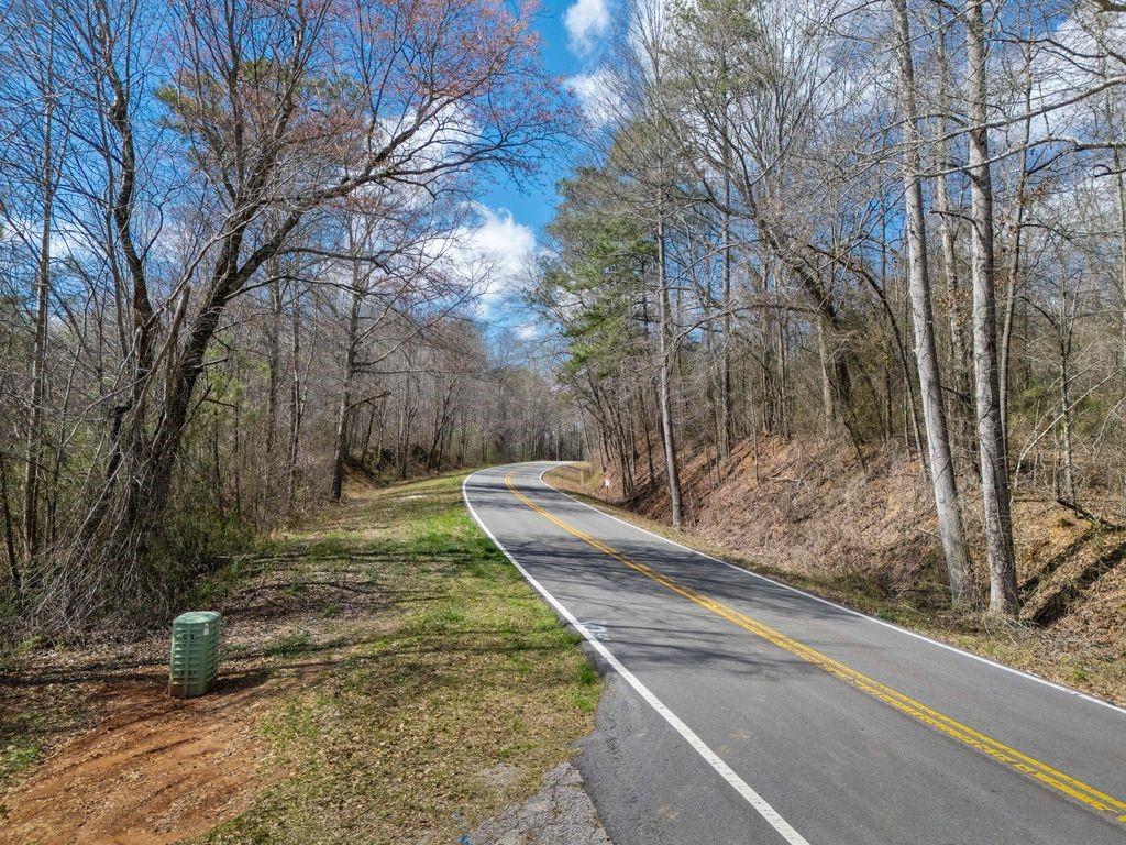 0 Bell Road Bremen, GA 30110 - Photo 6 of 14