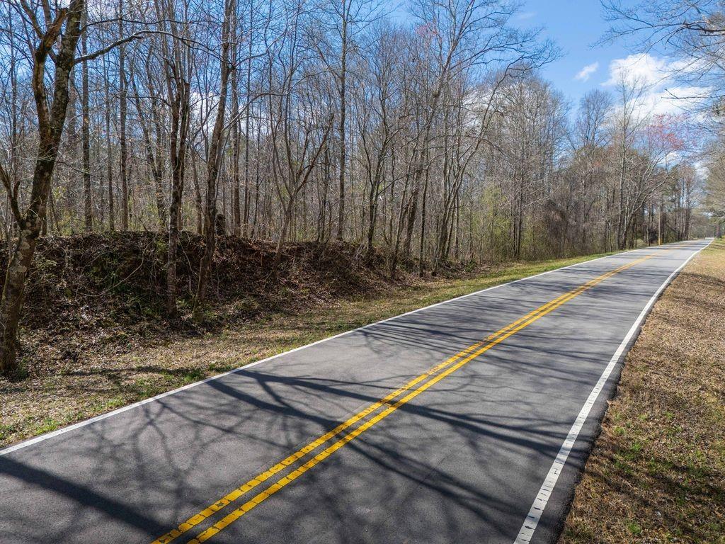 0 Bell Road Bremen, GA 30110 - Photo 8 of 14