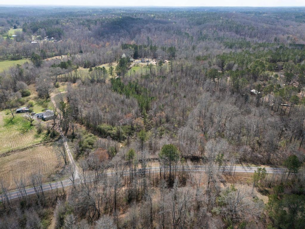 0 Bell Road Bremen, GA 30110 - Photo 9 of 14