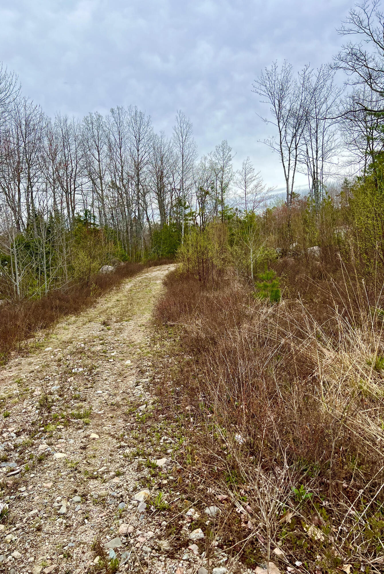 19 Aspen Lane Sullivan, ME 04664 - Photo 11 of 16 Right of way to the land