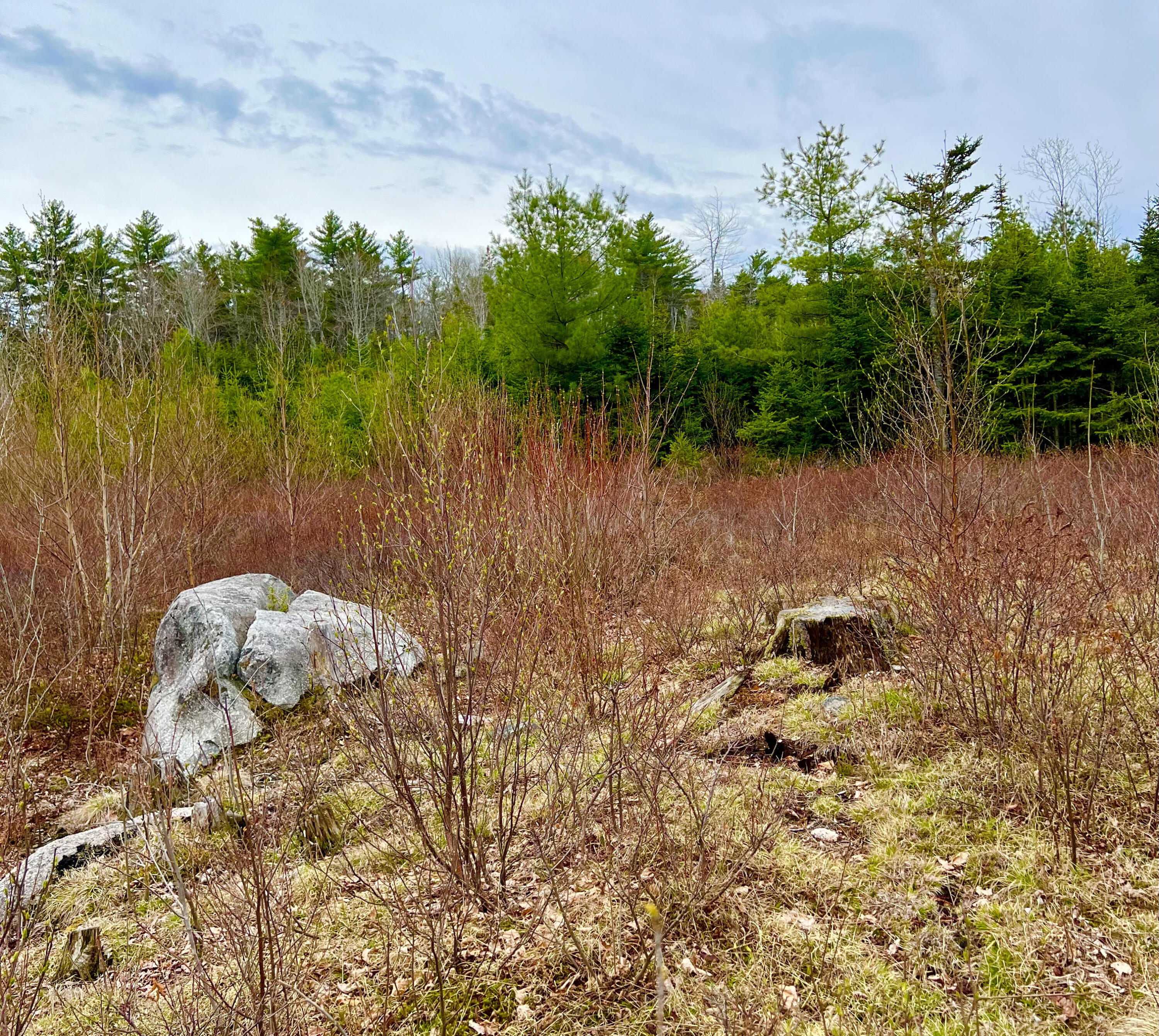19 Aspen Lane Sullivan, ME 04664 - Photo 2 of 16 Land