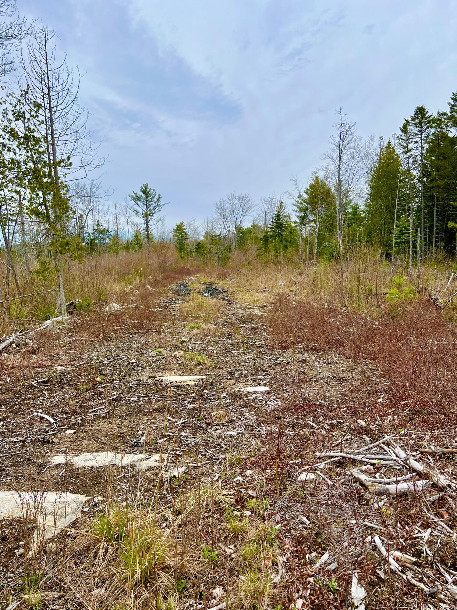 19 Aspen Lane Sullivan, ME 04664 - Photo 9 of 16 Right of way to the land