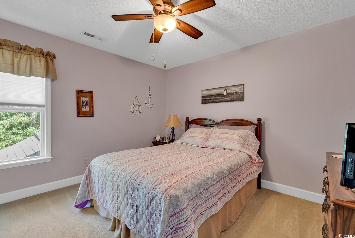 112 Coldstream Cove Loop, Unit 303 Murrells Inlet, SC 29576 - Photo 25 of 39 Bedroom featuring light carpet, a textured ceiling