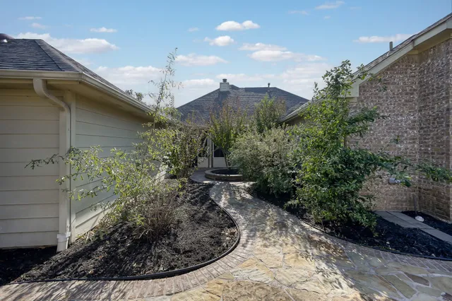 a view of a yard with plants