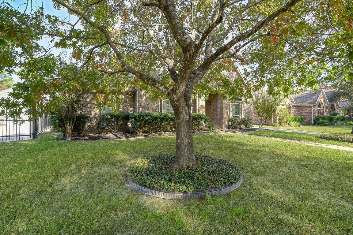 3510 Ash Glen Drive Spring, TX 77388 - Photo 4 of 39 a garden with trees