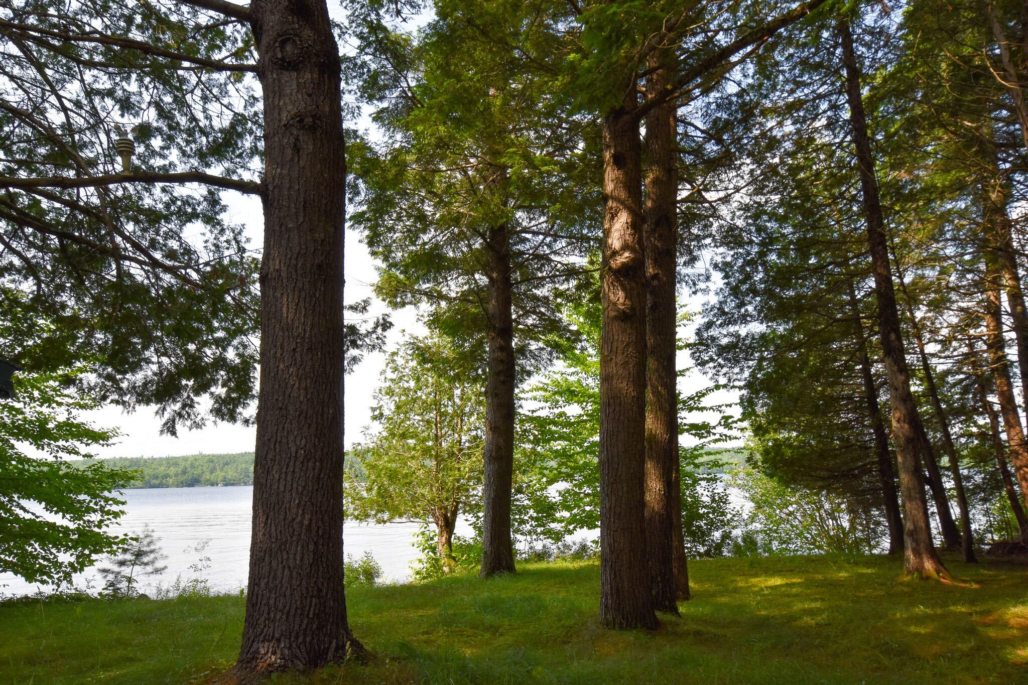 215 Larrabee Farm Road Dover-Foxcroft, ME 04426 - Photo 41 of 46 DSC_0965