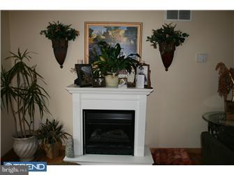 3267 Main Road Franklinville, NJ 08322 - Photo 8 of 9 Fireplace