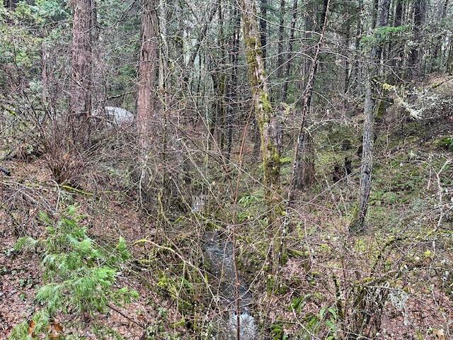 6392 Pleasant Creek Road Rogue River, OR 97537 - Photo 6 of 19 IMG_7377
