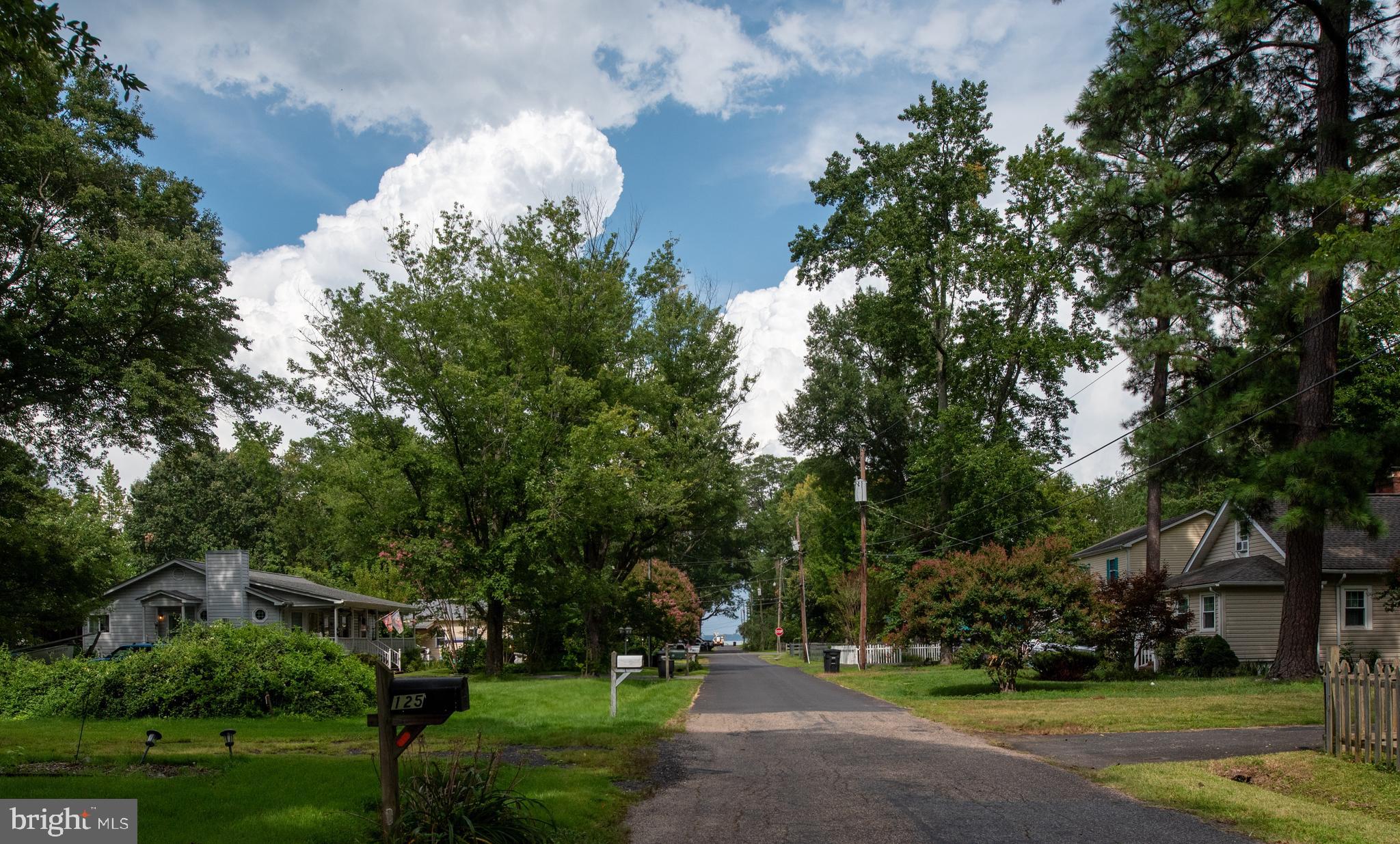 133 7th Street Colonial Beach, VA 22443 - Photo 59 of 72 a view of a park with large trees