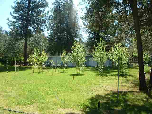 12823 East Nelson Road Elk, WA 99009 - Photo 6 of 9