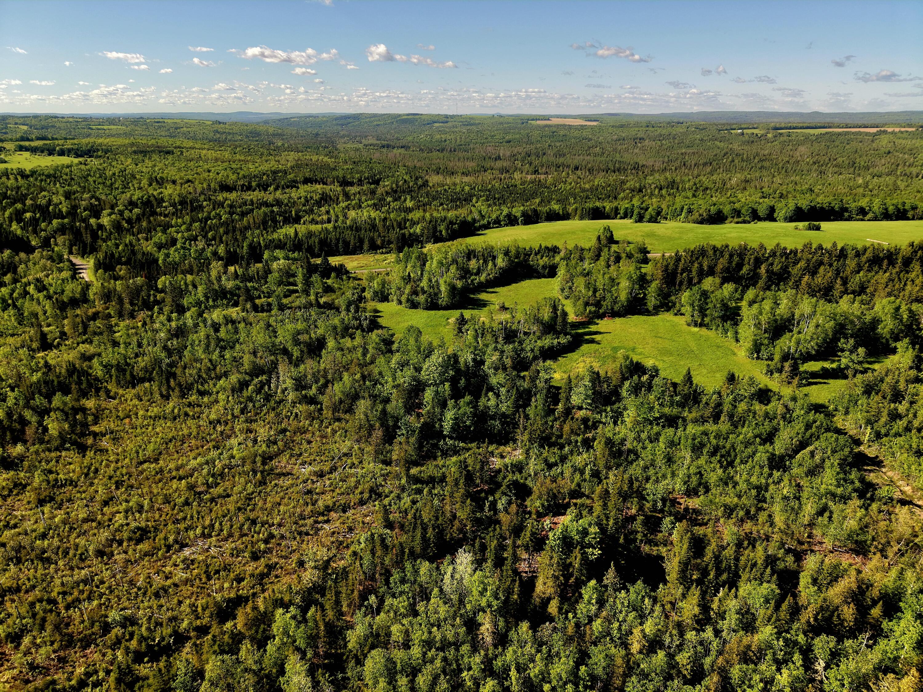 M5-l50d Rista Road New Sweden, ME 04762 - Photo 10 of 39