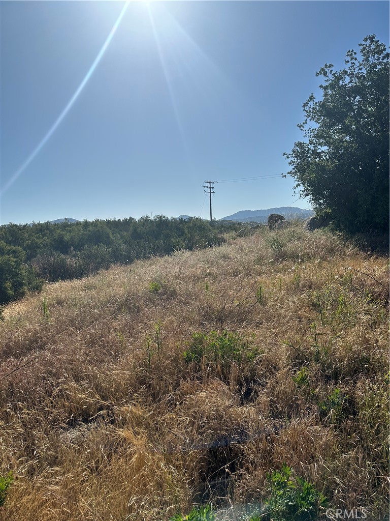 0 Red Mountain Road Hemet, CA 92544 - Photo 11 of 24 View of parcel.