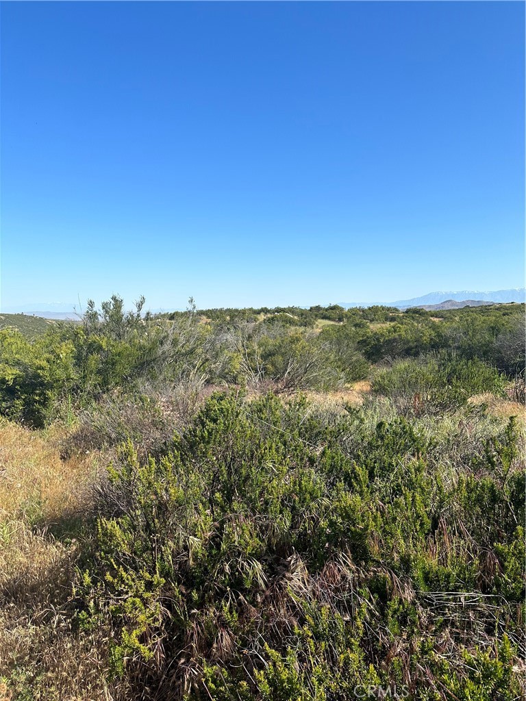 0 Red Mountain Road Hemet, CA 92544 - Photo 14 of 24 View of parcel.
