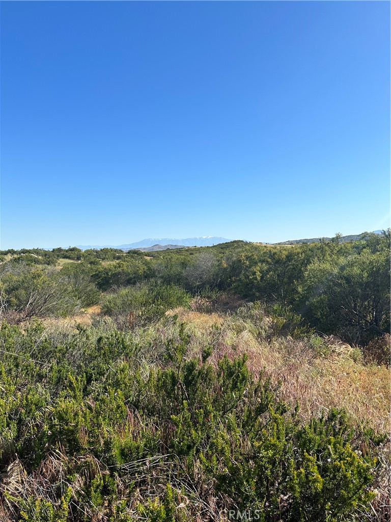 0 Red Mountain Road Hemet, CA 92544 - Photo 15 of 24 View of parcel.
