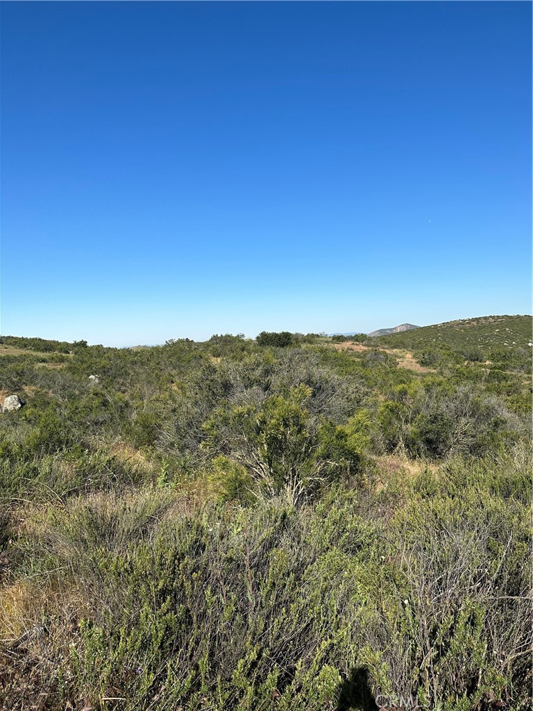 0 Red Mountain Road Hemet, CA 92544 - Photo 17 of 24 View of parcel.