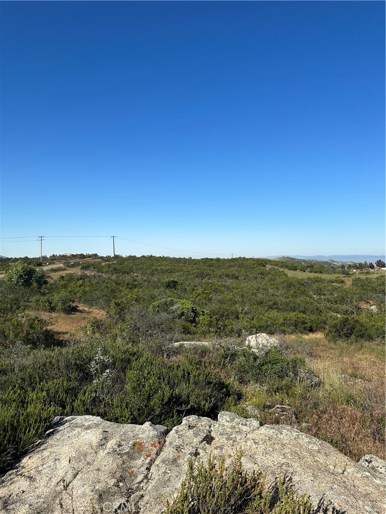 0 Red Mountain Road Hemet, CA 92544 - Photo 18 of 24 View of parcel.