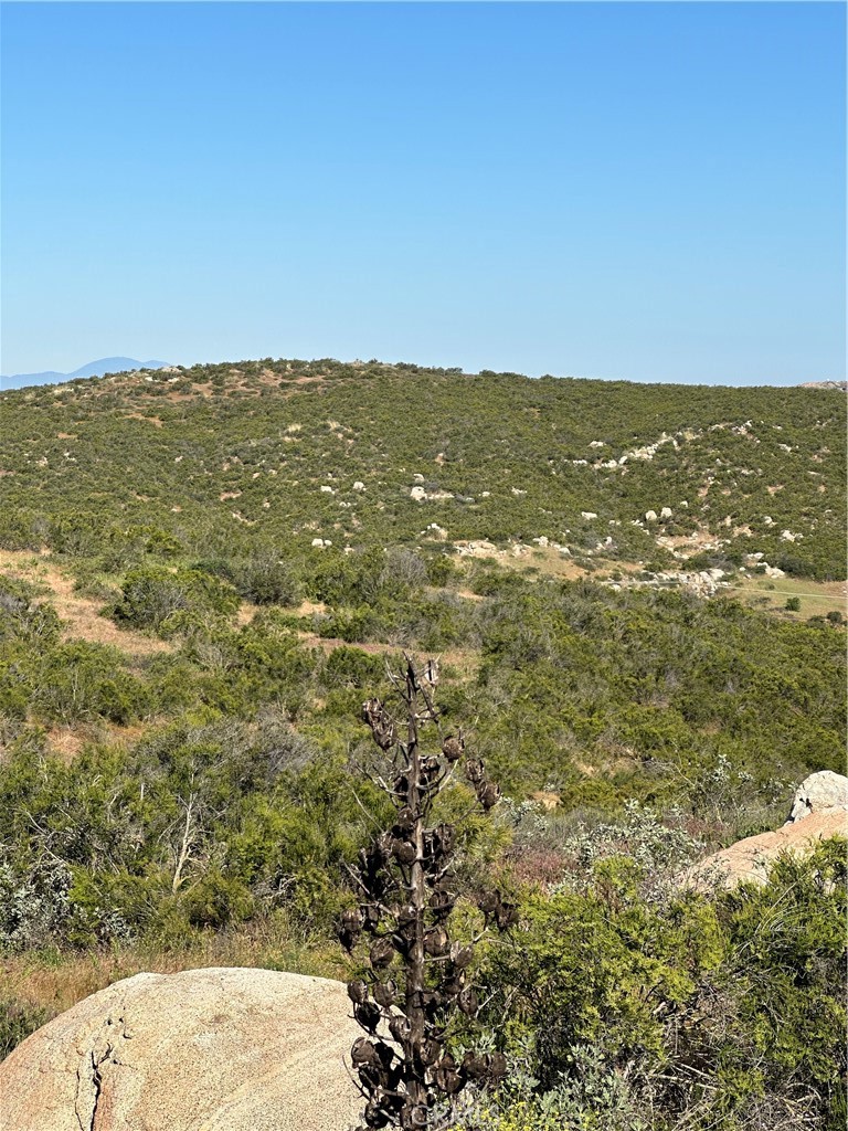 0 Red Mountain Road Hemet, CA 92544 - Photo 2 of 24 View of parcel.