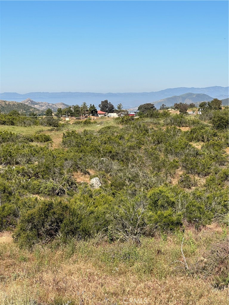 0 Red Mountain Road Hemet, CA 92544 - Photo 3 of 24 View of parcel.